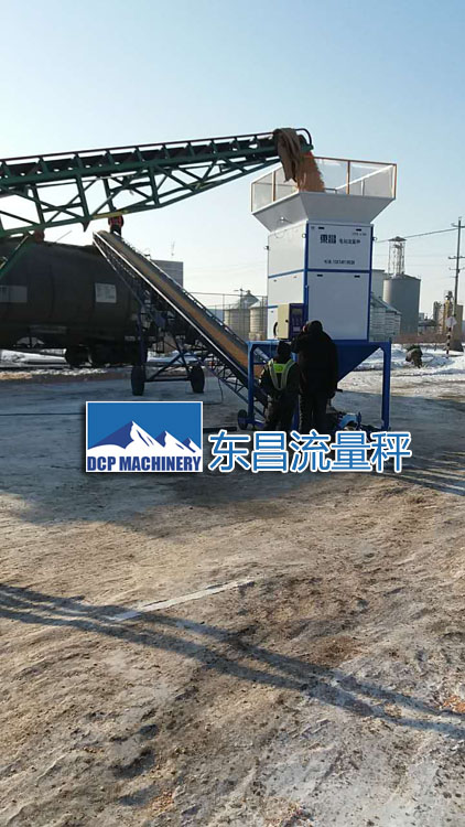 吉林糧食流量秤DCS-L100，50