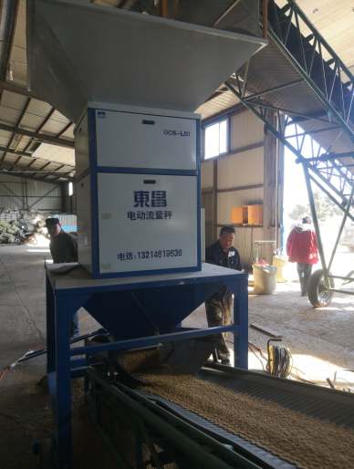 俄羅斯烏法固定式大米流量秤    俄羅斯烏法固定式大米流量秤